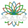 sky is to fly logo copy